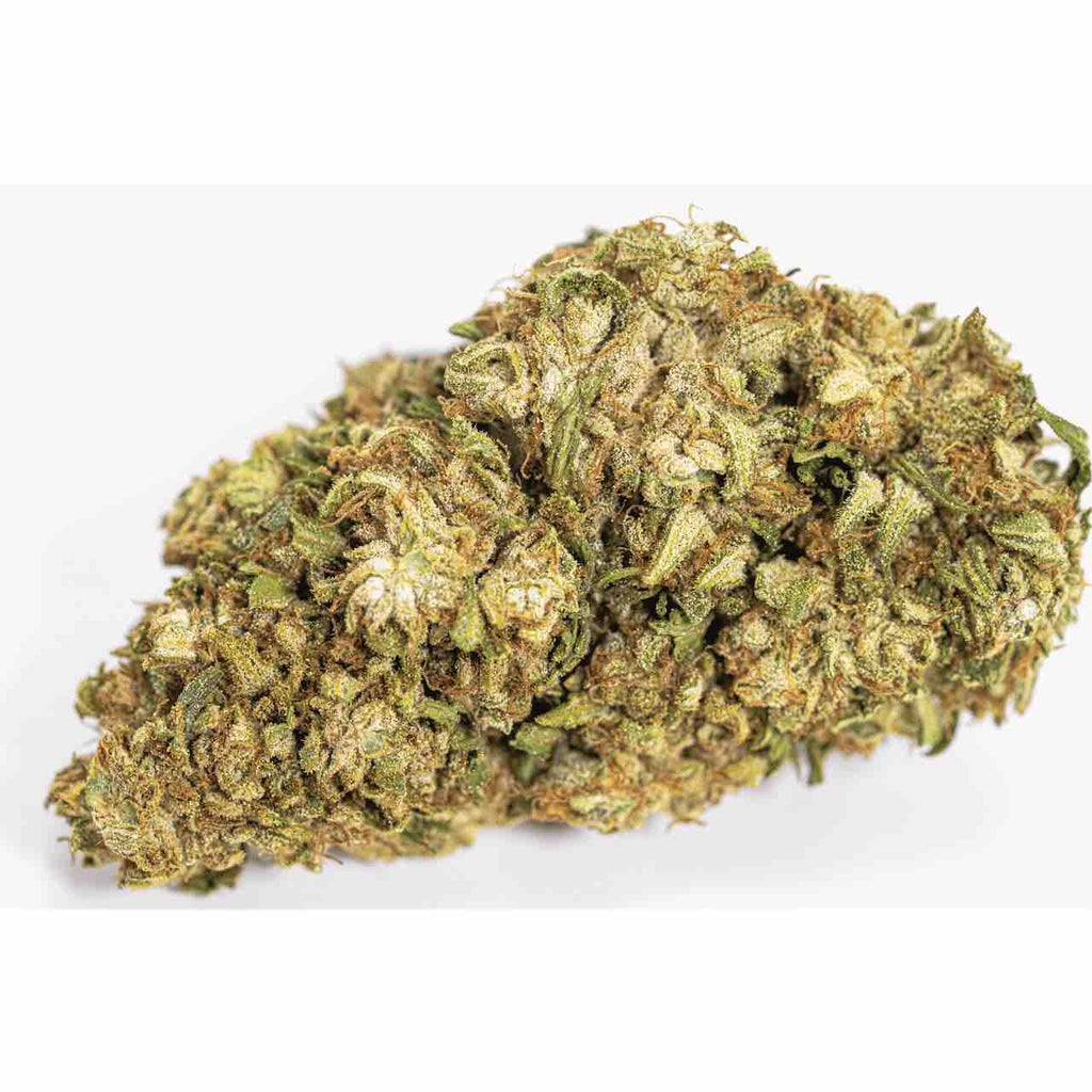 White Whale CBG Strain Review